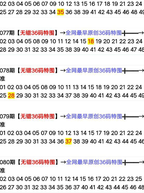 2024年新版49码表图｜全面把握解答解释策略